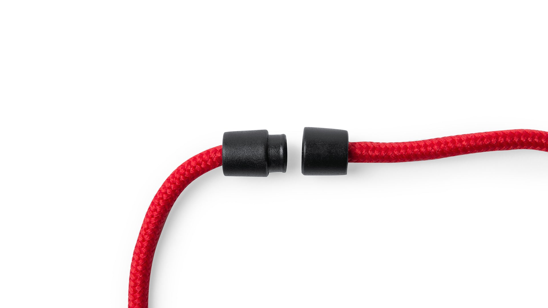 Lanyard